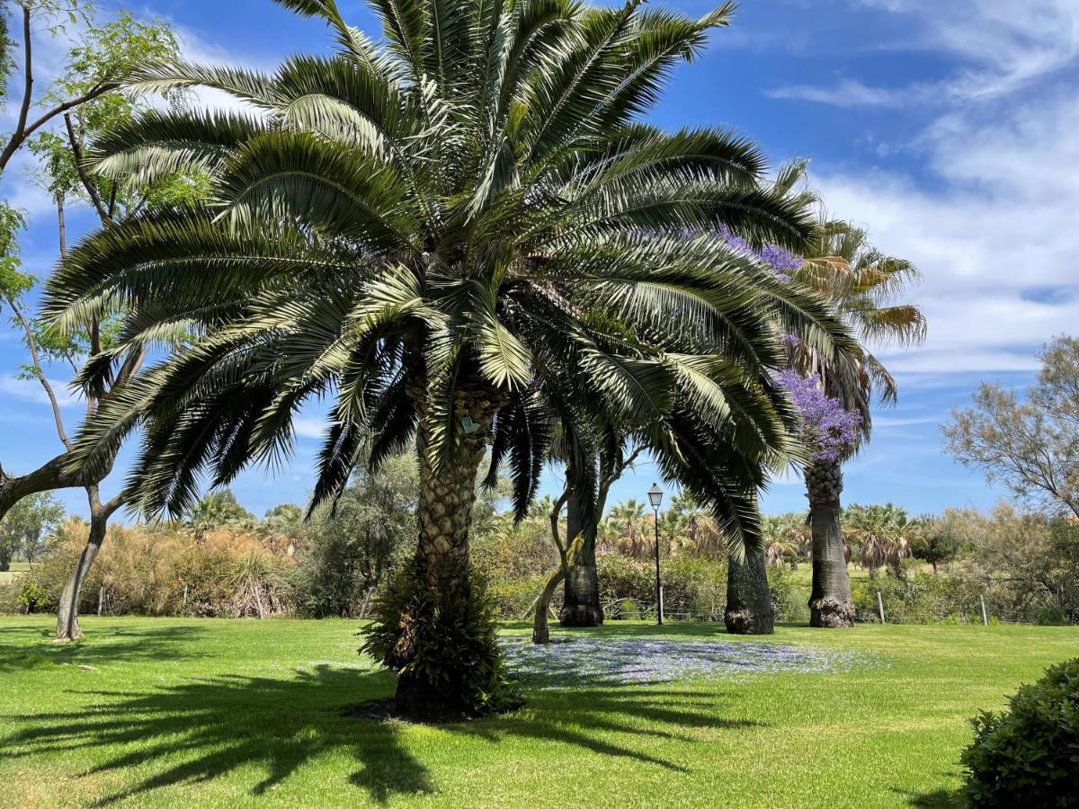Golf, Kitesurf, Tennis, Paddle, Free Bicycles - Apartment Andalusia Isla Canela Esterno foto